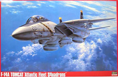F-14A トムキャット 大西洋空母航空団 プラモデル (ハセガワ 1/48 飛行機 Pシリーズ No.P019) 商品画像