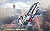 F-4J ファントム 2 ショータイム100 (ワンピースキャノピー入）