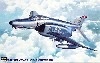 F-4E ファントム 2 30周年記念塗装 (ワンピースキャノピー）
