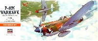 P-40N ウォーホーク (アメリカ陸軍航空隊 戦闘機）