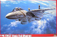 F-14A トムキャット 大西洋空母航空団