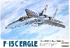 米空軍機 F-15C イーグル