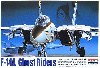 F-14A トムキャット ゴーストライダーズ