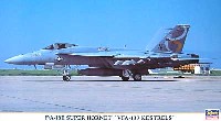 ハセガワ 1/72 飛行機 限定生産 F/A-18E スーパーホーネット 第137戦闘攻撃飛行隊 ケストレルズ