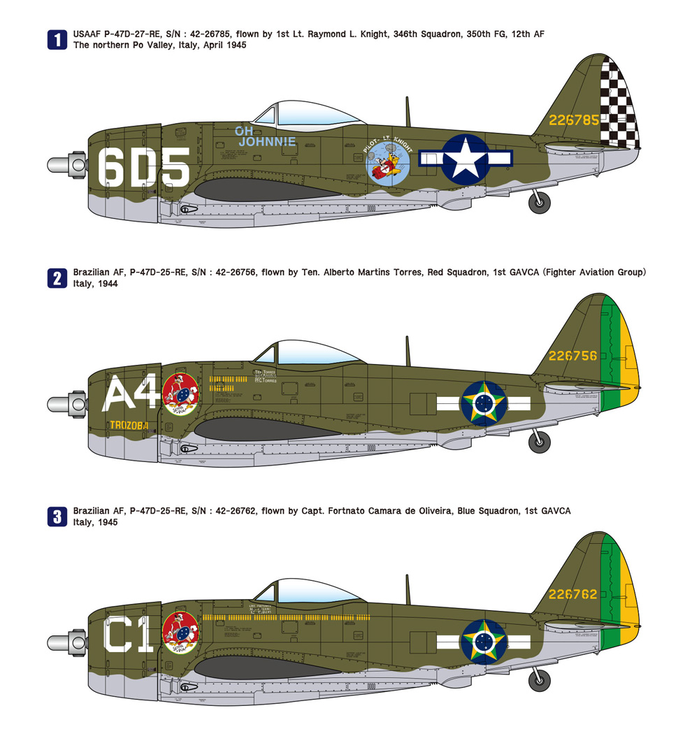 P-47D サンダーボルト 地中海作戦戦域 USAAF 戦闘機 プラモデル (ウルフパック ウルフパックデザイン プレミアムエディションキット No.WP14812) 商品画像_3