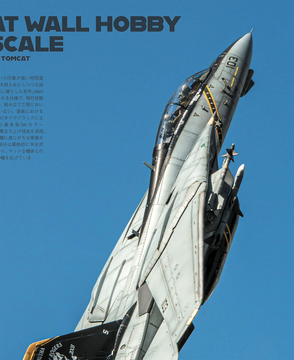 スケール アヴィエーション 2022年5月号 Vol.145 雑誌 (大日本絵画 Scale Aviation No.Vol.145) 商品画像_3