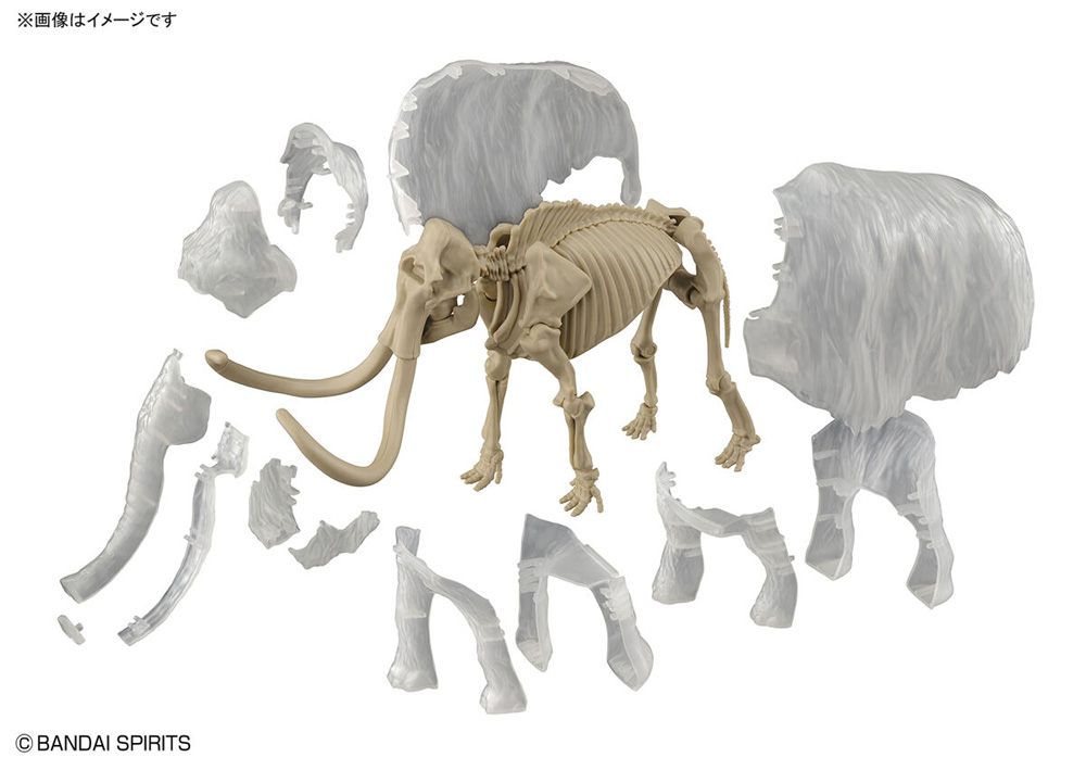 マンモス プラモデル (バンダイ Exploring Lab. No.5062197) 商品画像_1