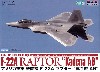 アメリカ空軍 戦闘機 F-22A ラプター 嘉手納AB