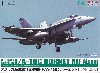 アメリカ海軍 艦上戦闘機 F/A-18C ホーネット NAF 厚木