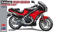 カワサキ KR250 (KR250A) ブラック/レッドカラー