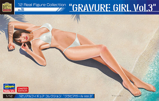 グラビアガール Vol.3 レジン (ハセガワ 1/12 リアルフィギュアコレクション No.016) 商品画像