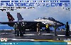 アメリカ海軍 艦上戦闘機 F-14A トムキャット 厚木 CVW-5