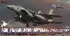 Ｆ-15J イーグル 日豪共同訓練 武士道ガーディアン 19 第201飛行隊 900号機 ミニスター・オブ・ディフェンス T・K