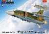 Mig-23MF ワルシャワ条約加盟国 2