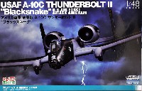 アメリカ空軍 攻撃機 A-10C サンダーボルト 2 ブラックスネーク