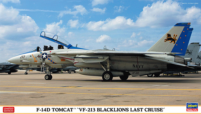 F-14D トムキャット VF-213 ブラックライオンズ ラストクルーズ プラモデル (ハセガワ 1/72 飛行機 限定生産 No.02406) 商品画像