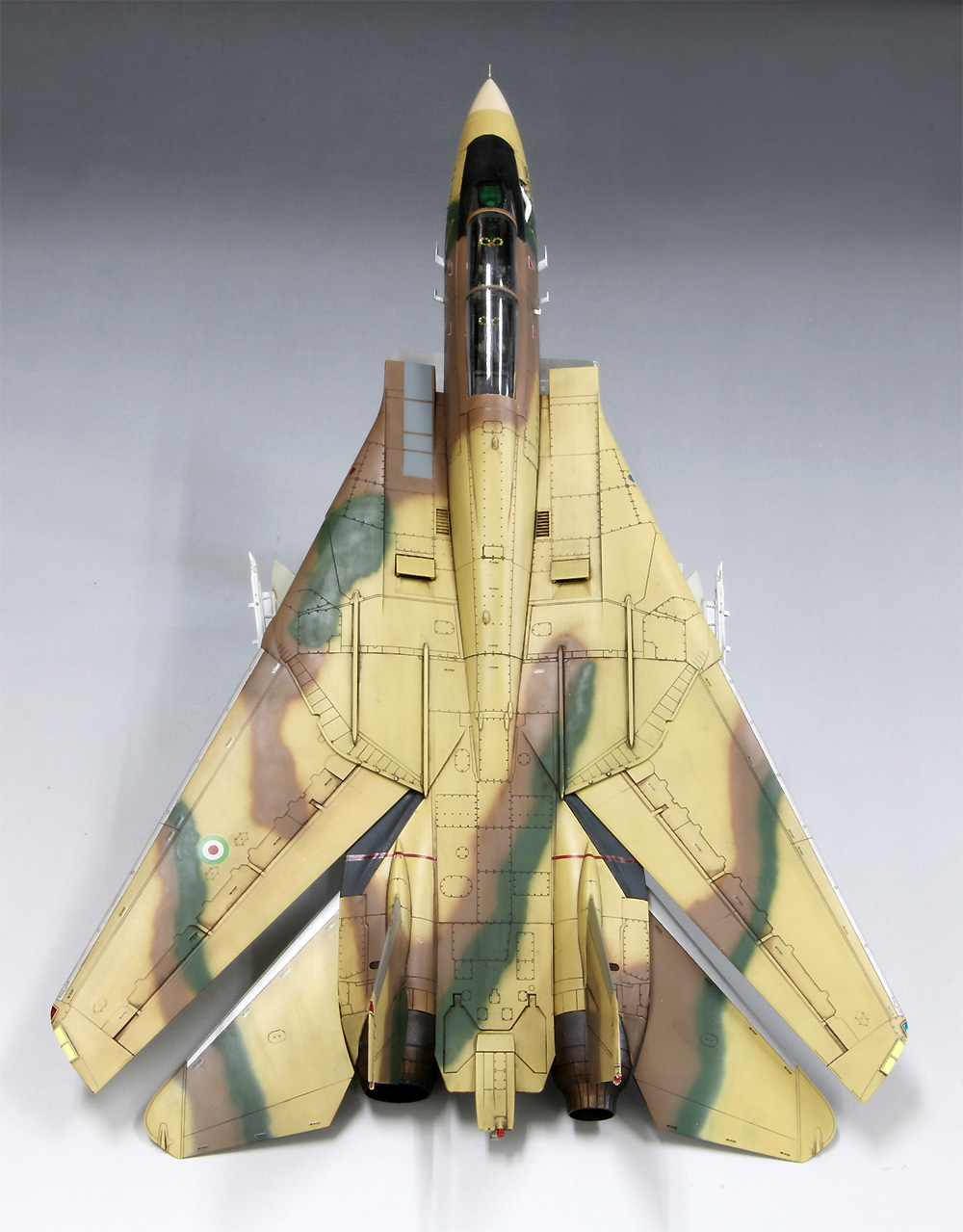 F-14A トムキャット イラン空軍 プラモデル (ファインモールド 1/72 航空機 限定品 No.72936) 商品画像_4