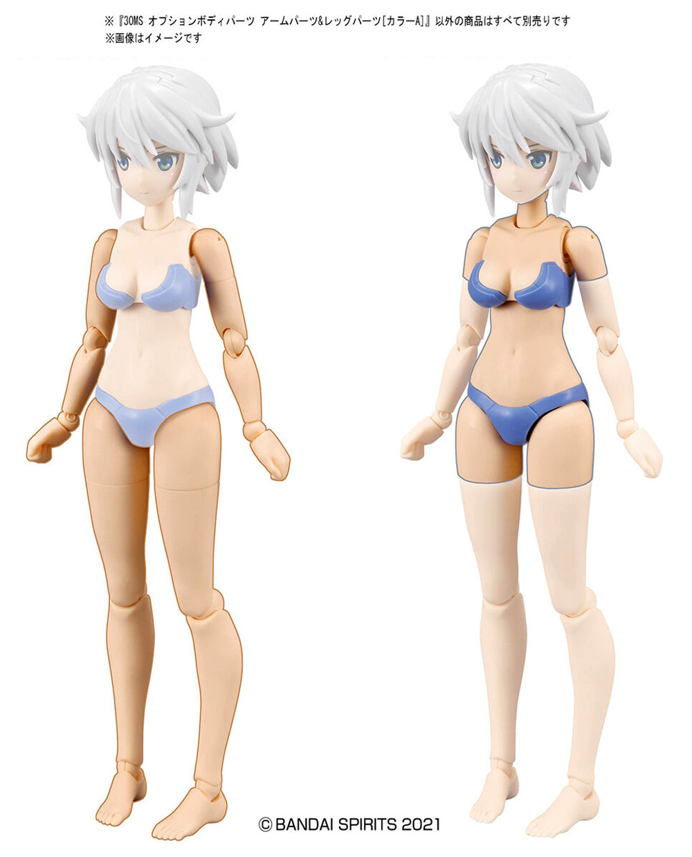 30MS オプションボディパーツ アームパーツ&レッグパーツ カラーA プラモデル (バンダイ 30 MINUTES SISTERS オプションボディパーツ No.OB-007) 商品画像_2