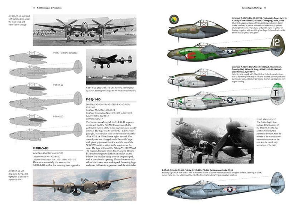 P-38 ライトニング コンプリートガイド 本 (Valiantwings エアフレーム & ミニチュア No.019) 商品画像_1