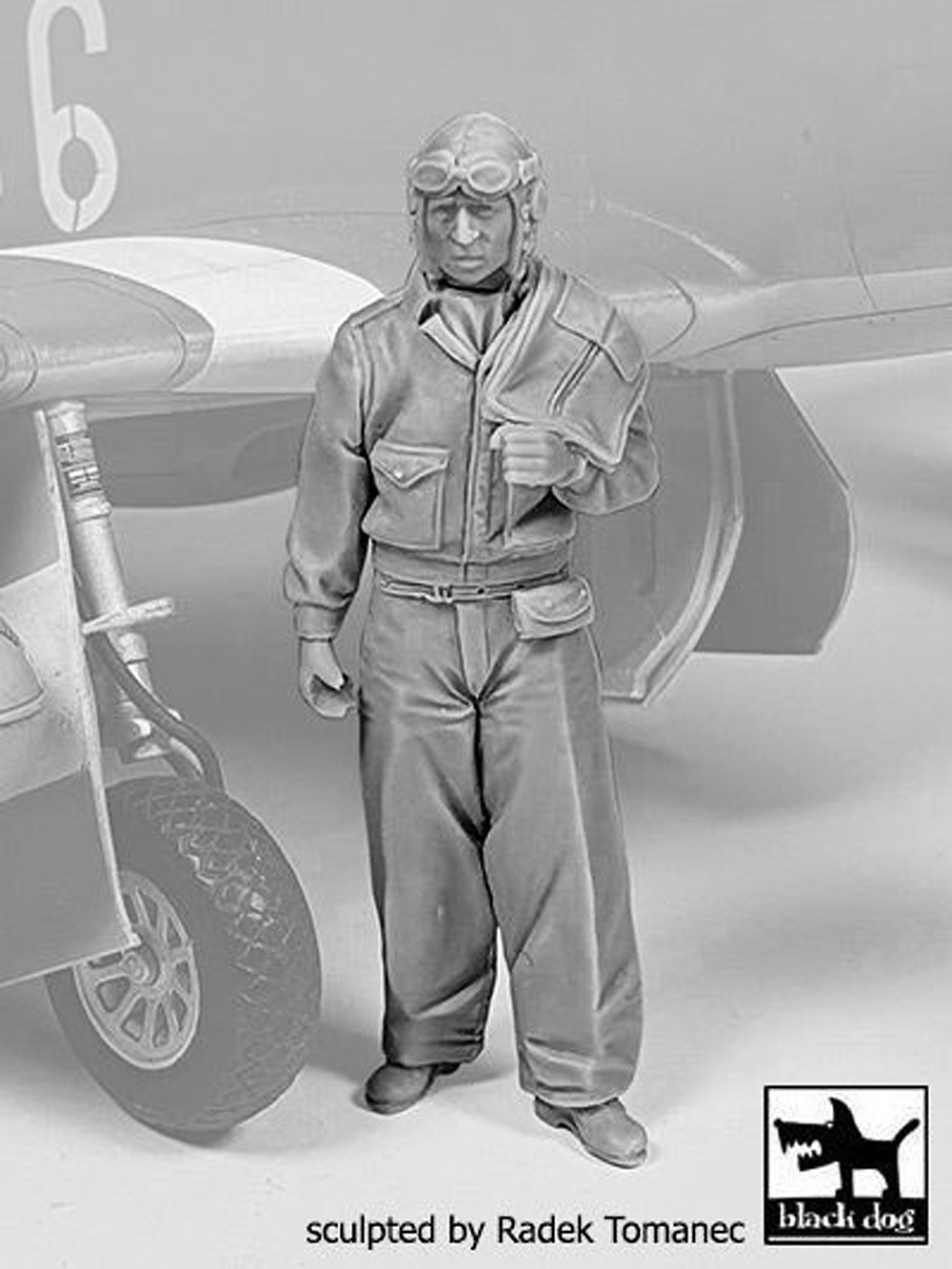 アメリカ陸軍航空軍 戦闘機パイロット 1940-45年 No.3 レジン (black dog 1/32 エアクラフト レジンパーツ No.F32142) 商品画像_2