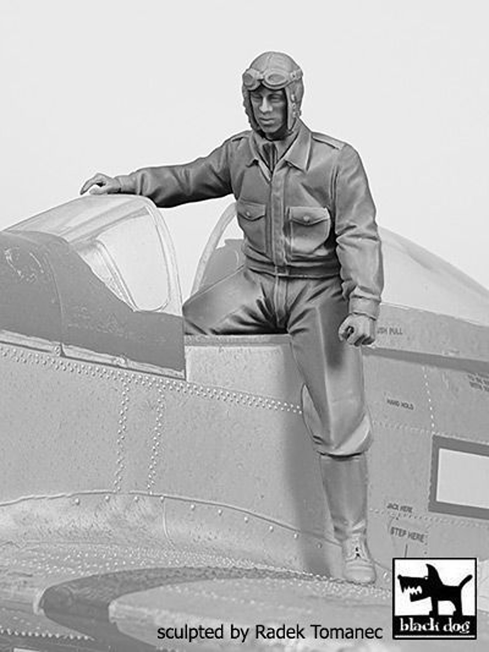 アメリカ陸軍航空軍 戦闘機パイロット 1940-45年 No.4 レジン (black dog 1/32 エアクラフト レジンパーツ No.F32143) 商品画像_2