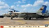 F-14D トムキャット VF-213 ブラックライオンズ ラストクルーズ