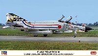 F-4EJ ファントム 2 303SQ ドラゴン スコードロン 10周年記念
