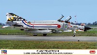 ハセガワ 1/72 飛行機 限定生産 F-4EJ ファントム 2 303SQ ドラゴン スコードロン 10周年記念