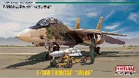 F-14A トムキャット イラン空軍