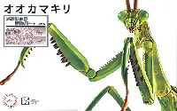 いきもの編 オオカマキリ メタリックシルバー