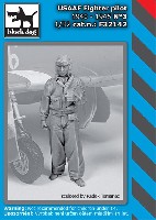 アメリカ陸軍航空軍 戦闘機パイロット 1940-45年 No.3