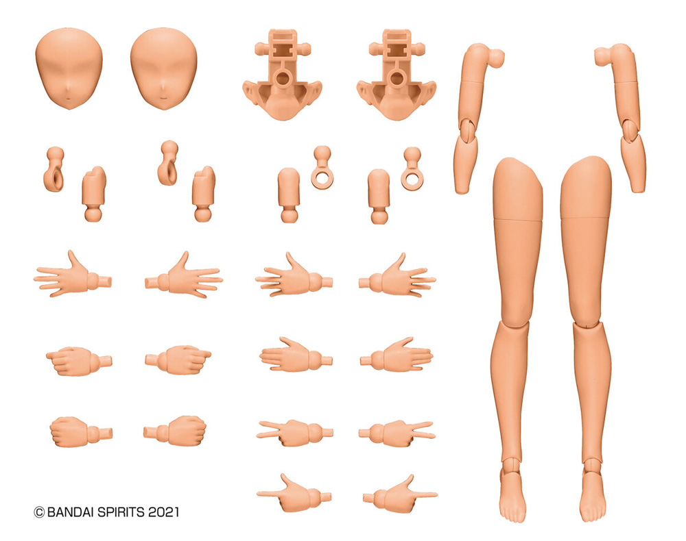 30MS オプションボディパーツ アームパーツ＆レッグパーツ カラーC プラモデル (バンダイ 30 MINUTES SISTERS オプションボディパーツ No.OB-011) 商品画像_1