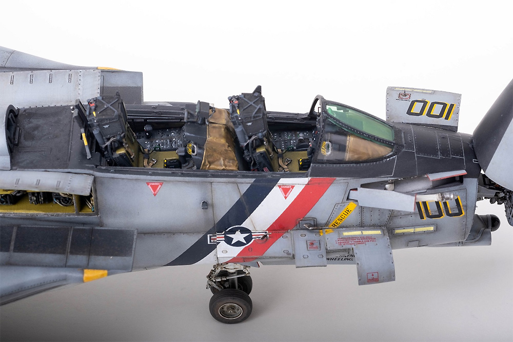 F-14D スーパートムキャット スペシャルエディション プラモデル (AMK 1/48 Aircrafts series No.K48003) 商品画像_3