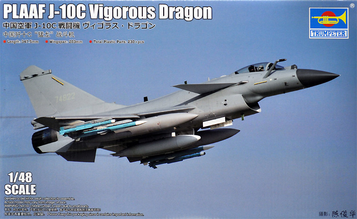中国空軍 J-10C 戦闘機 ヴィゴラス・ドラゴン プラモデル (トランペッター 1/48 エアクラフト プラモデル No.05826) 商品画像