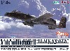 アメリカ空軍 攻撃機 A-10C サンダーボルト 2 第122戦闘航空団 ブラックスネーク