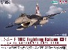 アメリカ空軍 F-16C ファイティングファルコン CFT (コンフォーマルタンク装備)