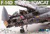 F-14D スーパートムキャット スペシャルエディション