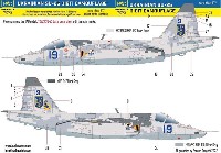 Su-25 フロッグフット ウクライナ デジタル迷彩 2 デカール (ズべズダ用)