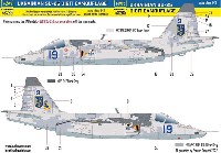 Su-25 フロッグフット ウクライナ デジタル迷彩 2 デカール (ズべズダ用)