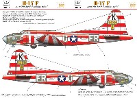 HAD MODELS 1/48 デカール B-17E バーミングハム・ブリッツクリーク デカール