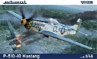 P-51D-10 ムスタング