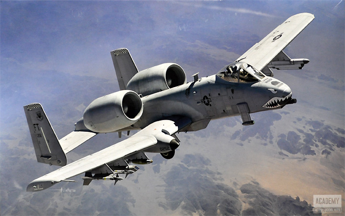 USAF A-10C サンダーボルト 2 第75戦闘飛行隊 プラモデル (アカデミー 1/48 Aircrafts No.12348) 商品画像