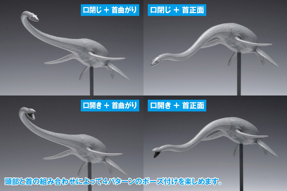フタバスズキリュウ プラモデル (ウェーブ プラスチックモデルキット No.OG-031) 商品画像_1