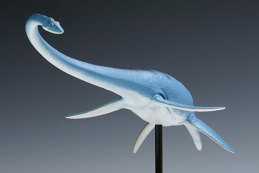 フタバスズキリュウ プラモデル (ウェーブ プラスチックモデルキット No.OG-031) 商品画像_2