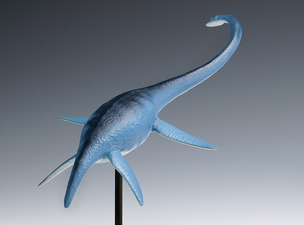 フタバスズキリュウ プラモデル (ウェーブ プラスチックモデルキット No.OG-031) 商品画像_3