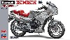 カワサキ KR250 (KR250A) シルバーカラー