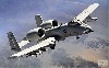 USAF A-10C サンダーボルト 2 第75戦闘飛行隊
