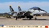 F-14B トムキャット VF-103 ジョリー ロジャース ラストフライト 2004