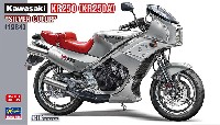 カワサキ KR250 (KR250A) シルバーカラー