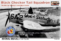 ライジングモデル 1/48 RISING DECALS (ライジングデカール) ブラックチェッカーテール アメリカ陸軍航空軍 第346飛行隊 イタリア 1/48